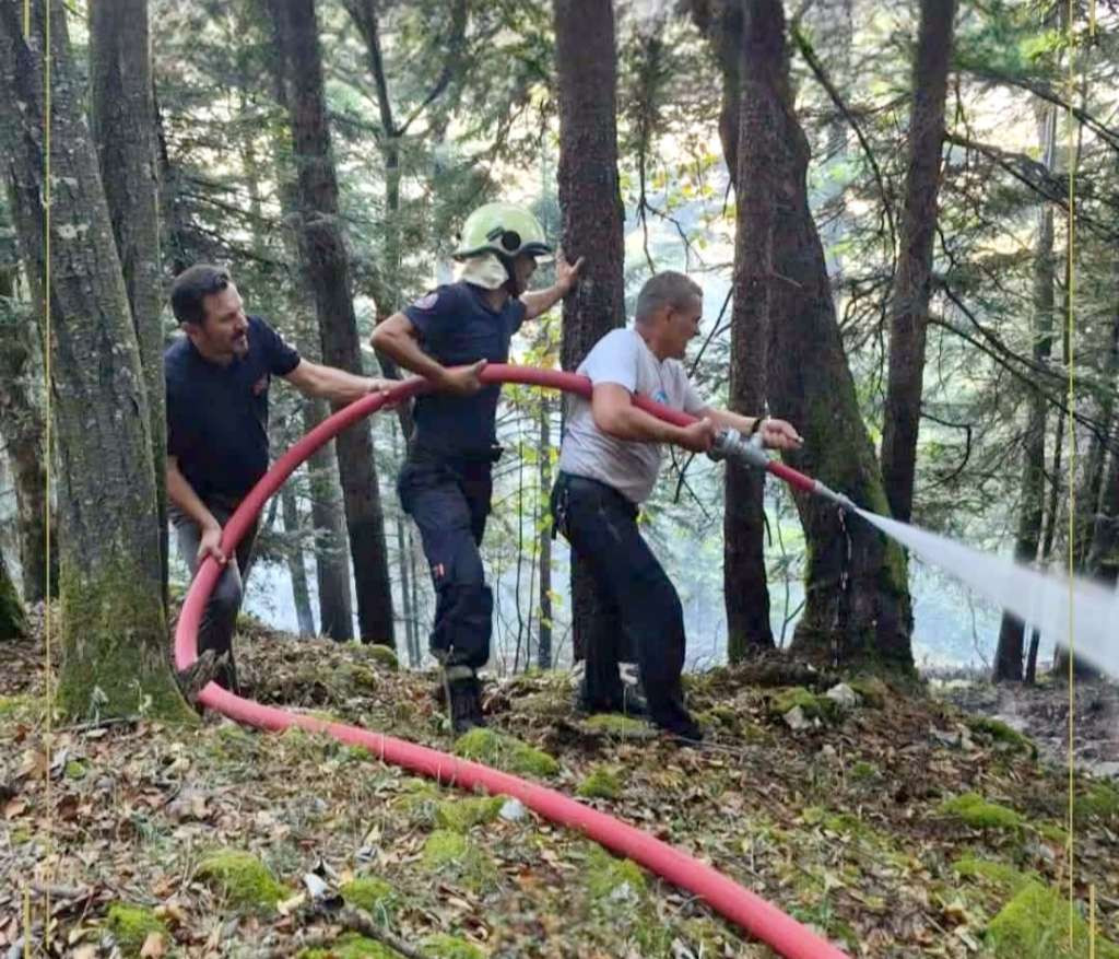 Požar na Plješevici pod kontrolom, ekipe nastavljaju saniranje terena