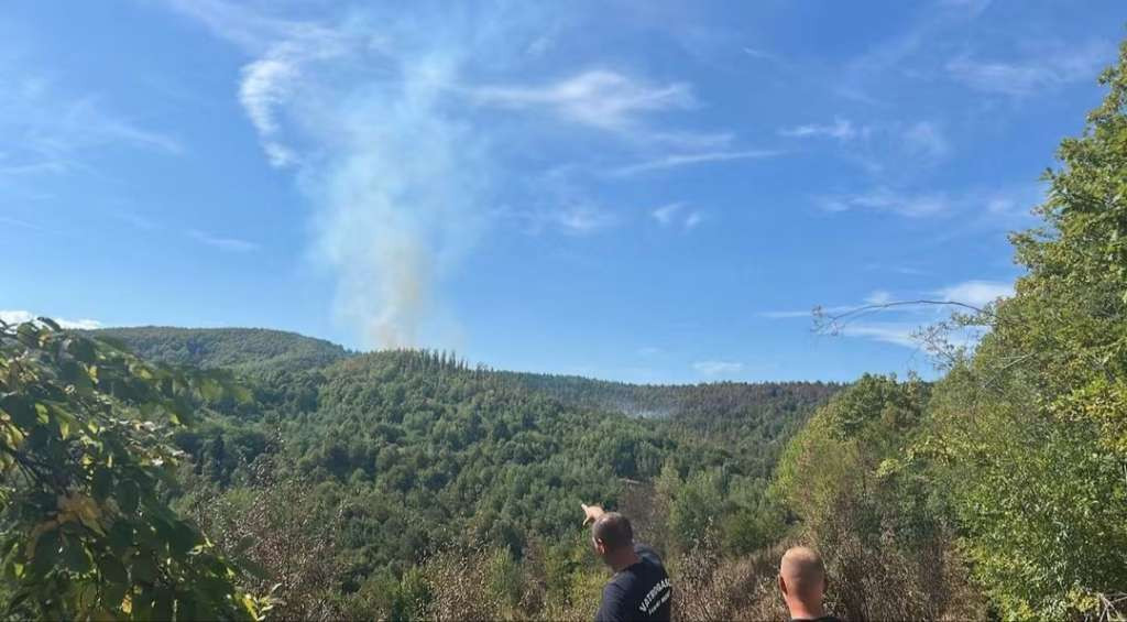 Požar ponovo aktiviran u Sasini kod Sanskog Mosta