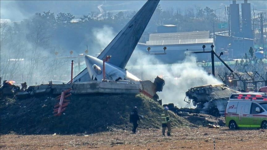Najgoru avionsku nesreću u povijesti J. Koreje uzrokovale patke