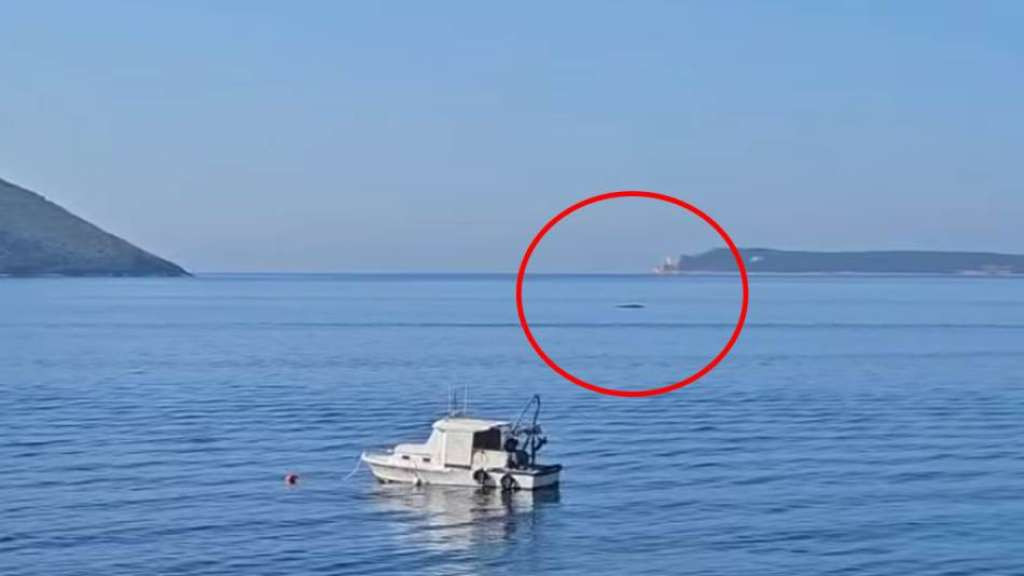 Kit snimljen u Dobrim Vodama kod Bara