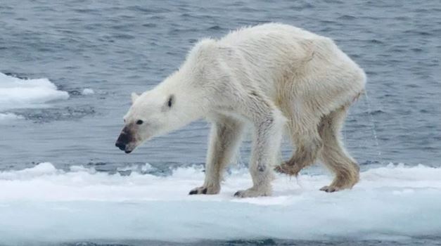 Nezamislivi troškovi ignorisanja klimatske krize