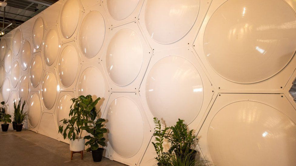 SAD: U New Yorku odobreno "kompostiranje" ljudskih posmrtnih ostataka