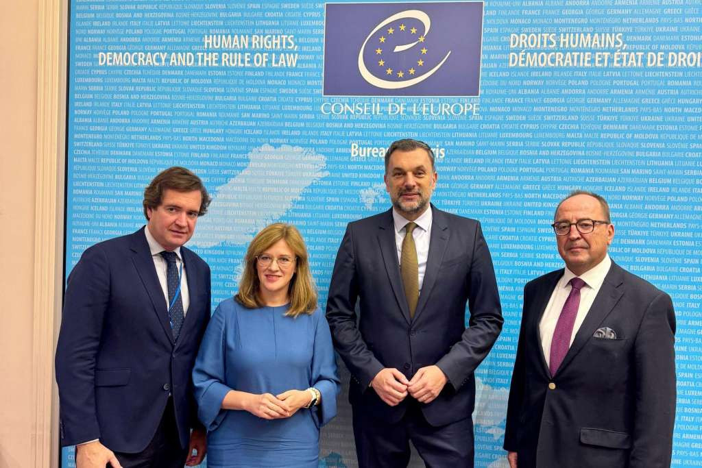 Ministar Konaković učestvovao u radu Odbora za monitoring Vijeća Evrope u Parizu