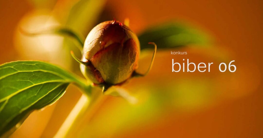 Otvoren šesti konkurs za kratku priču "Biber"