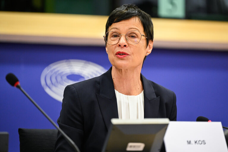 Kos: Pomno pratim proteste u Srbiji, pristupanje EU-u zahtijeva napor cijelog društva