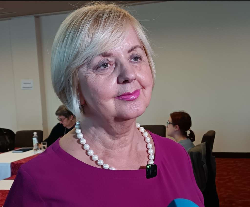 Rudić: Moraju se tražiti nove strategije za opstanak novinarstva kao javnog dobra