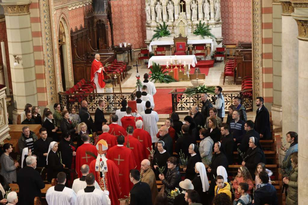 Nadbiskup Vukšić na Cvjetnicu predvodio euharistijsko slavlje