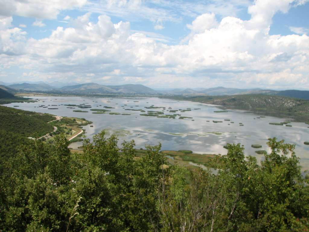 Ornitološko društvo 'Naše ptice' uputit će inicijativu ministarstvima za očuvanje močvara u BiH