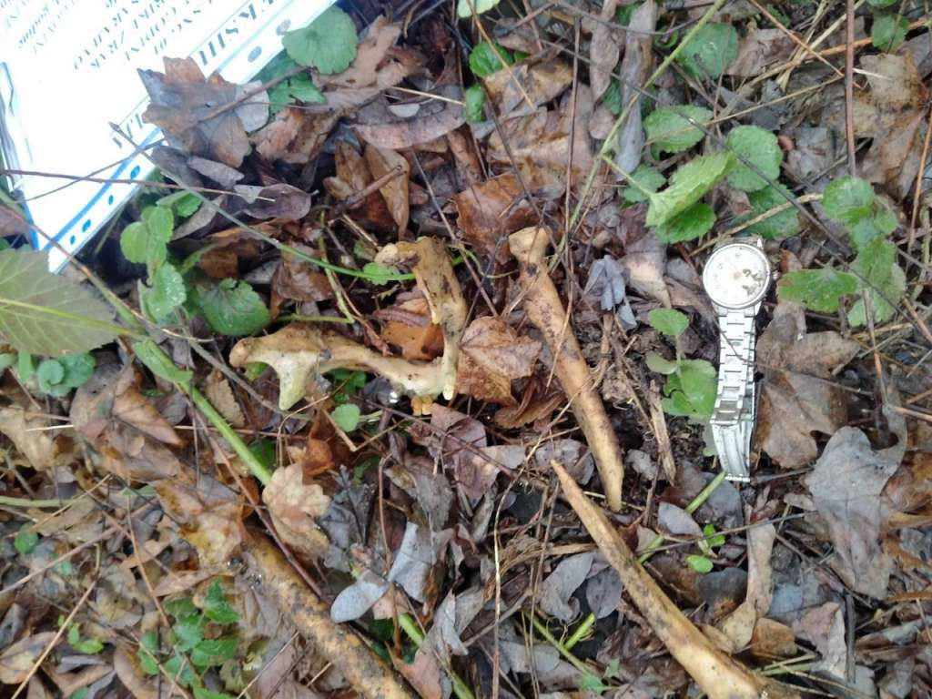 Posmrtni ostaci jedanaest žrtava iz sela Žulja i Vranjevići kod Mostara spremni za ukop