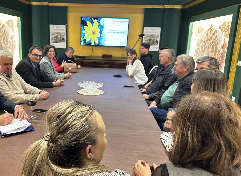 Na području Konjica evidentirane 34 invazivne biljne vrste