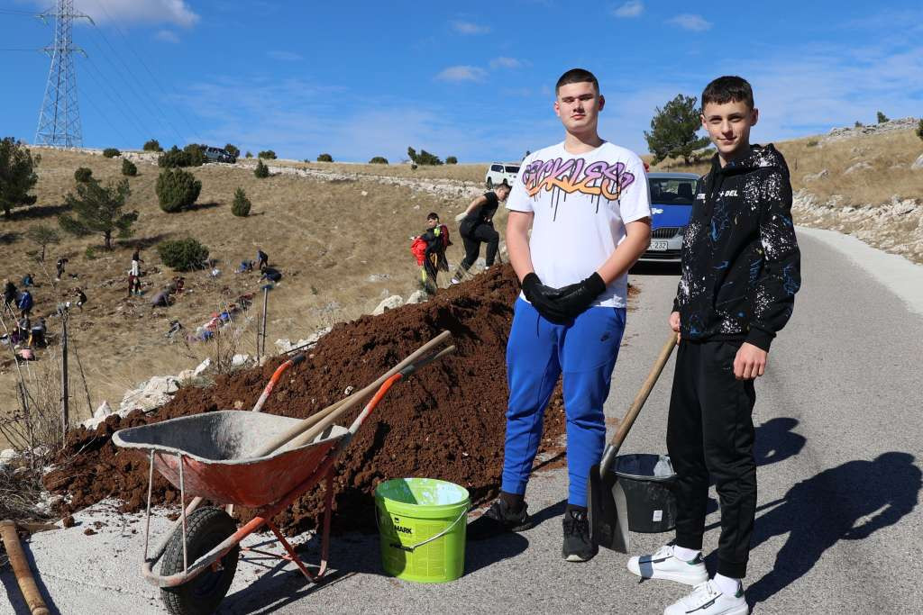 Mostarski učenici posadili hiljadu sadnica crnog bora na Fortici