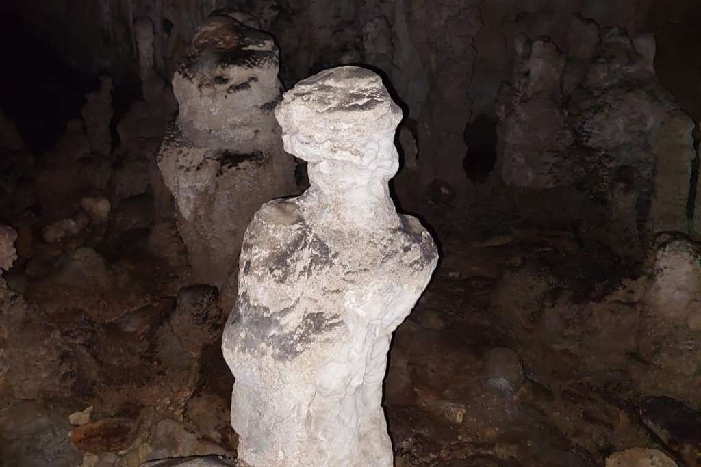 Istraživanja na zaštićenim područjima u FBiH zahtijevaju dozvole i nadzor