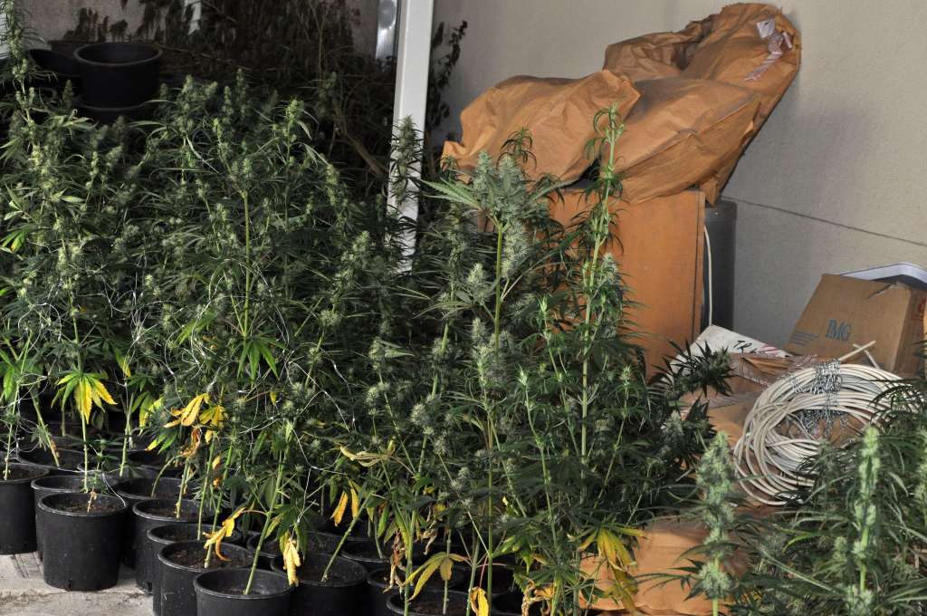 Zagreb četvrti u Europi po dnevnoj potrošnji kanabisa