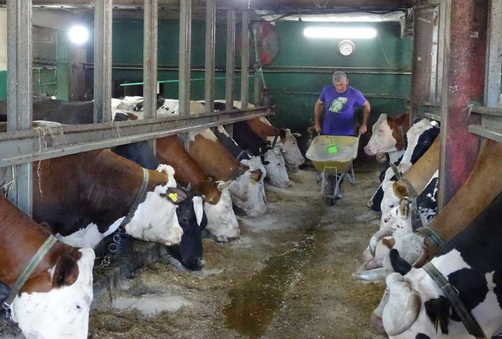 Poljoprivrednim proizvođačima i prerađivačima u FBiH isplaćeno 42,9 miliona KM