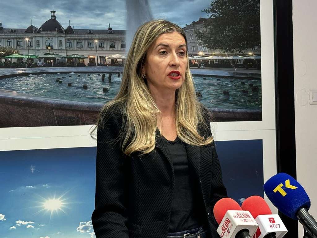 Kravić: U Tuzli do 11 sati na izbore izašlo 11,85 posto birača
