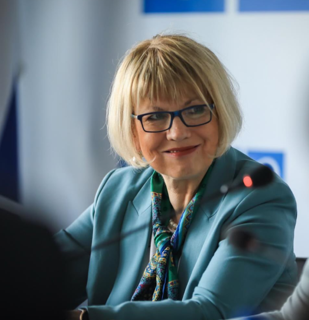 Schmid: Opasna secesionistička retorika ozbiljan rizik za stabilnost BiH