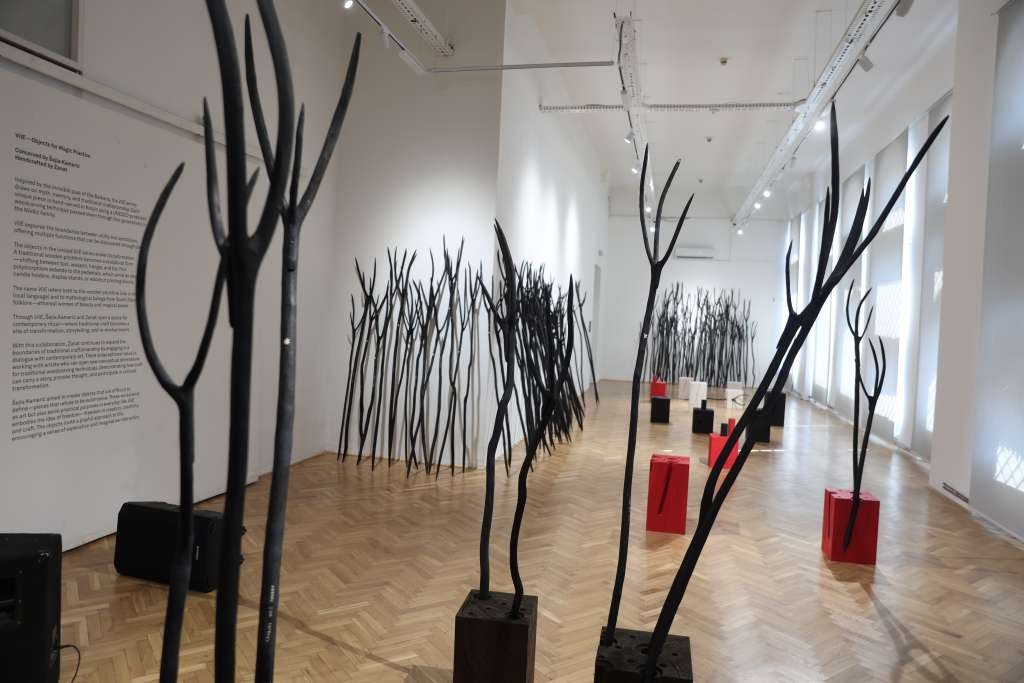 Izložba 'ViLE" Šejle Kamerić između mitskih bića i drvene alatke