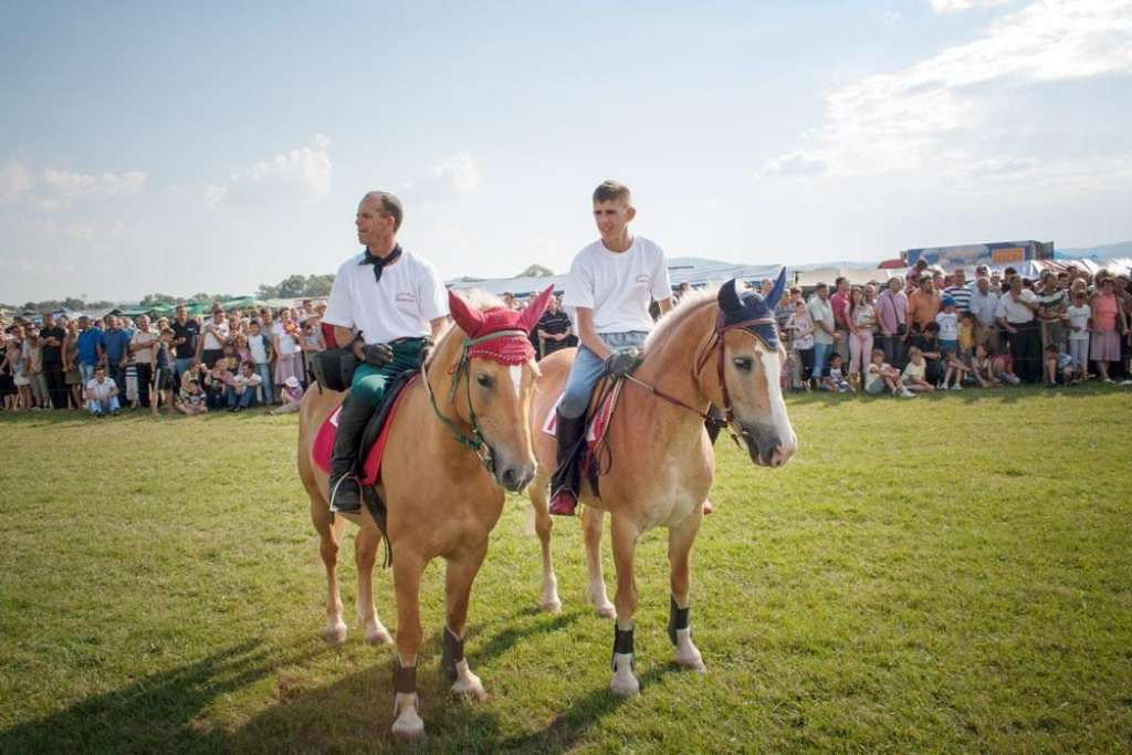 Leka: Uništavanje baštine nije samo kolateralna šteta, već dio šireg procesa brisanja identiteta i kolektivnog pamćenja