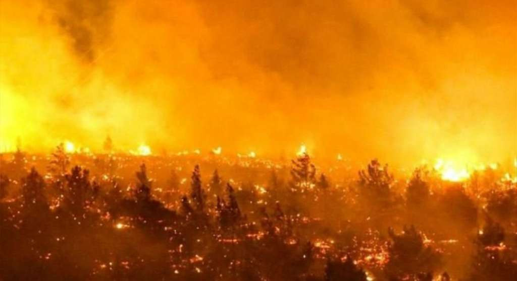 Najmanje 24 mrtvih u šumskim požarima u Čileu
