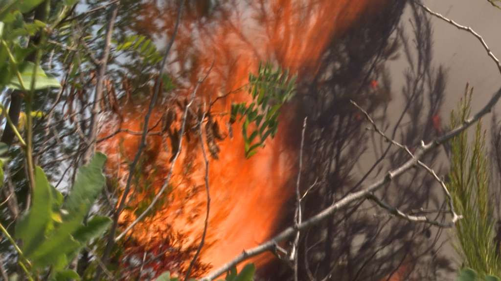Požar u kalifornijskom gradu San Bernadinu spalio nekolio kuća i prisilio mještane na evakuaciju
