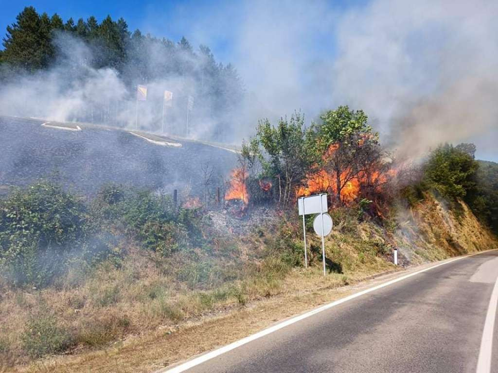 Zatražena međunarodna pomoć u zaštiti i spašavanju za gašenje požara u Trebinju