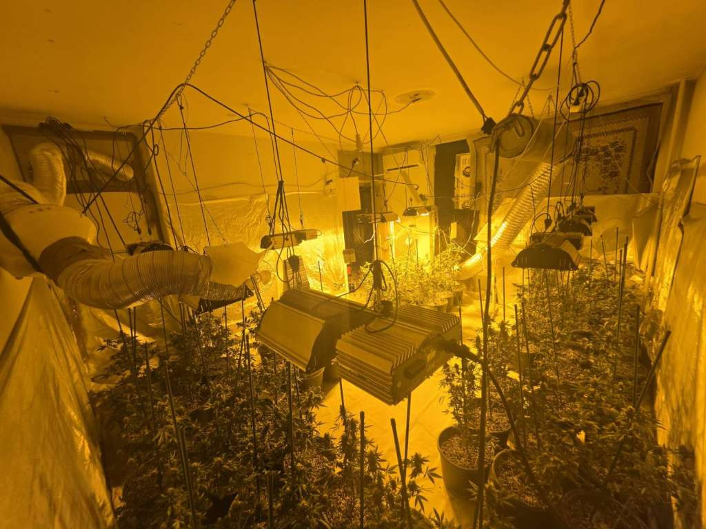 MUP KS: U akciji "Sensei 2" pronađene dvije laboratorije za uzgoj opojne droge marihuana