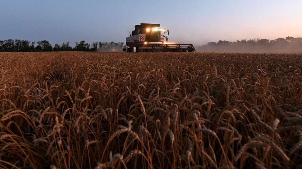 FAO indeks cijena hrane u junu porastao 0,5 posto