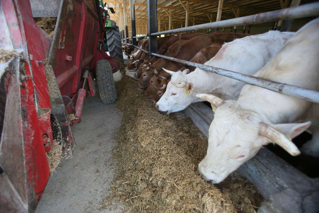 Vlada FBiH usvojila Program poticaja poljoprivredi u iznosu od 106 miliona KM