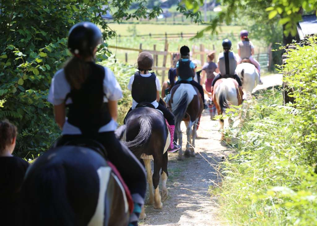 Istraživanje potvrdilo da rad i interakcija s konjima smanjuju stres i tjeskobu