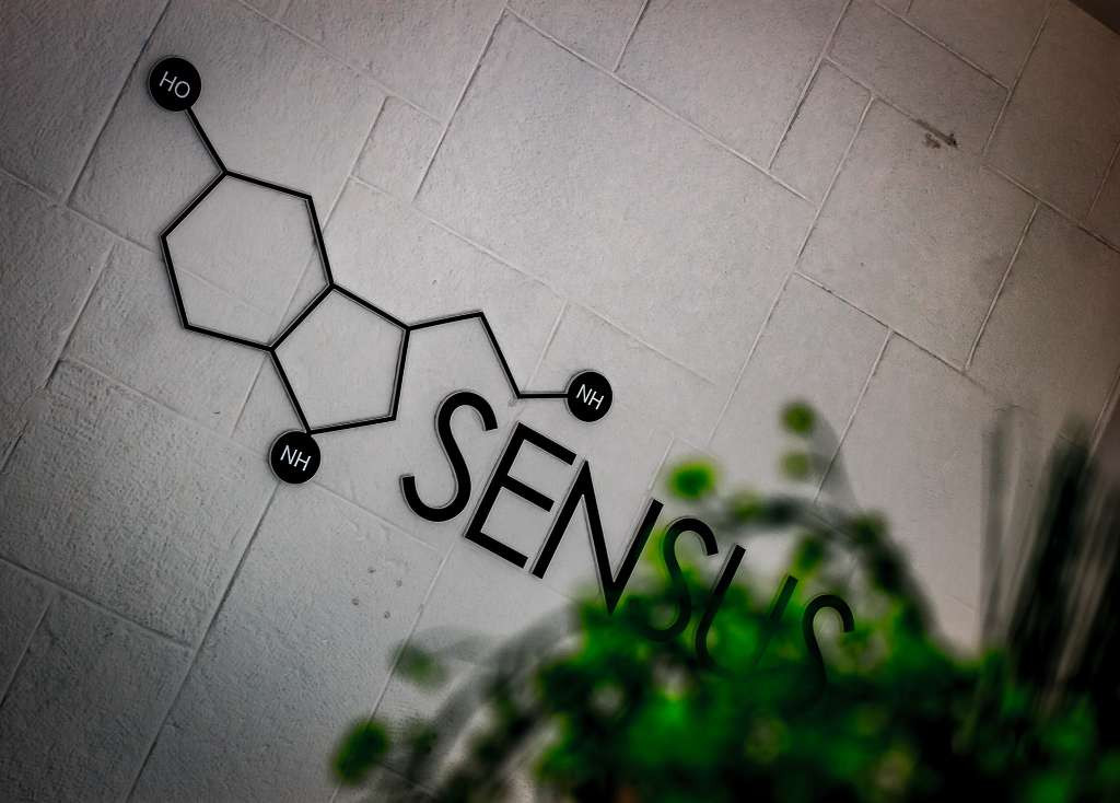 Centar za psihološku podršku Sensus educira mostarske srednjoškolce o borbi protiv korupcije