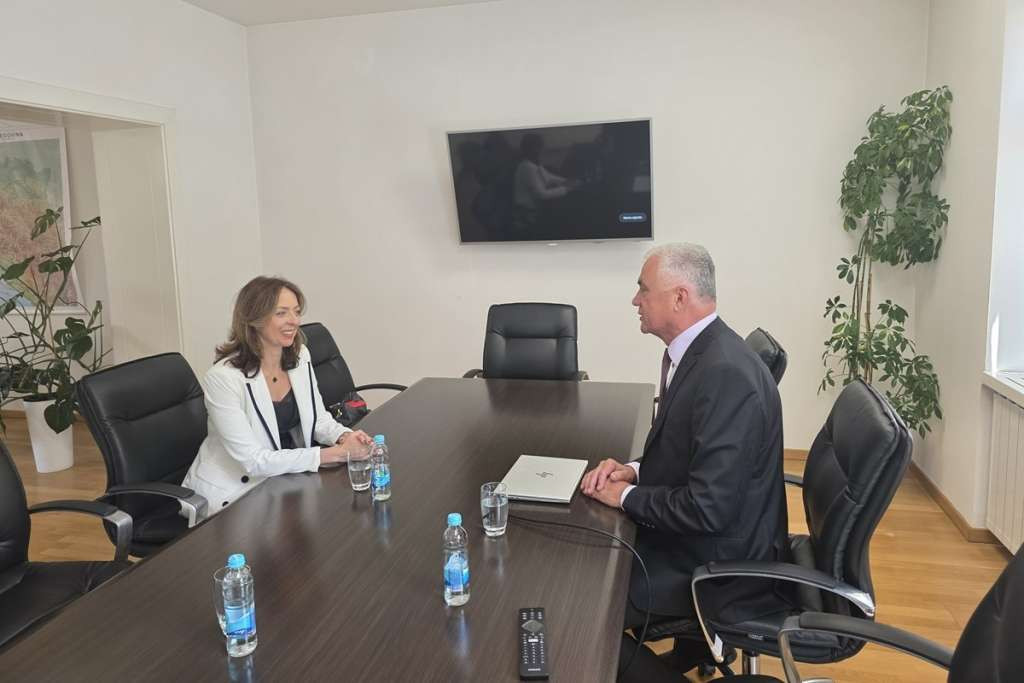 Bošnjak i Obradović: LiDAR snimanje Bosne i Hercegovine u završnoj fazi