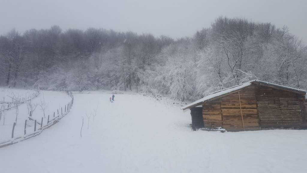 Na području opštine Srebrenica snijeg nije prouzrokovano veće probleme