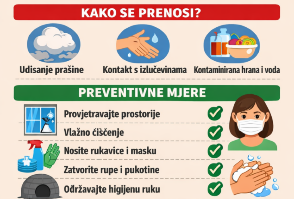 Zavod za javno zdravstvo KS: Hantavirus - Šta treba znati i kako se zaštititi