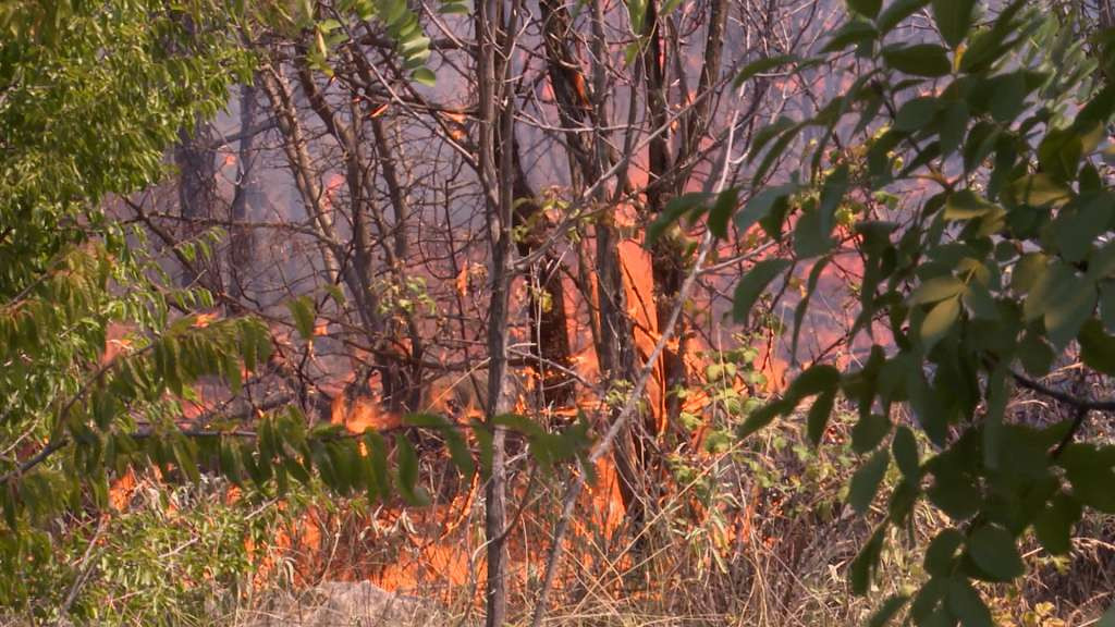 Dva vatrogasca ozlijeđena u eksploziji kod Stoca