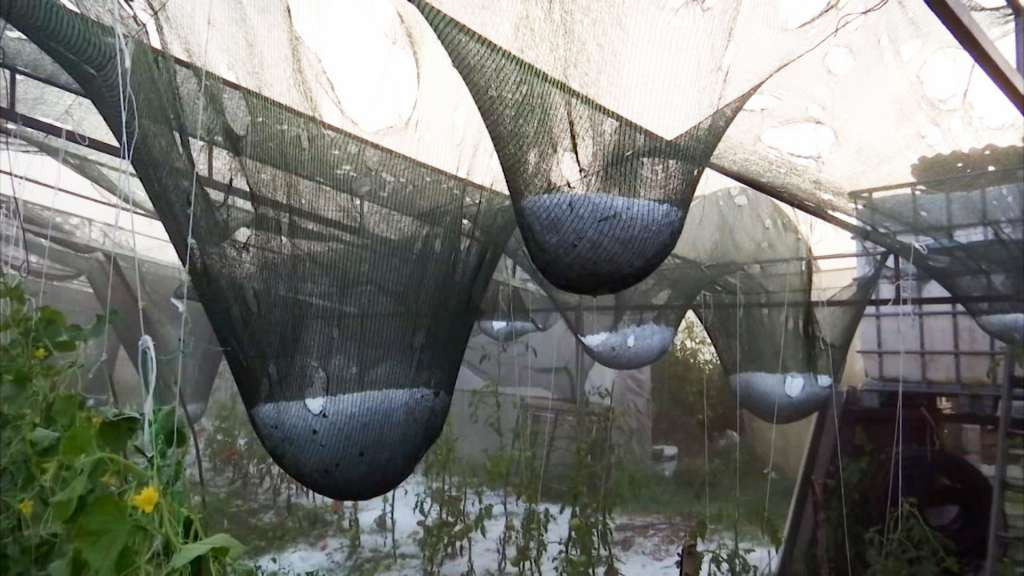 U Srbiji se saniraju posljedice nevremena; ogromna šteta na objektima, automobilima i usjevima