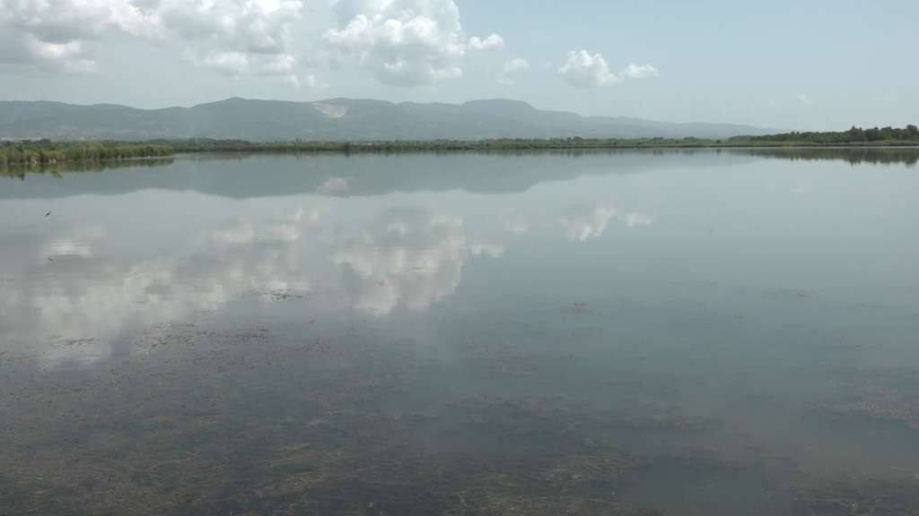 Prijedor: Prijedlog plana reorganizacije Ribnjaka 'Saničani' u stečaju usvojen od odbora povjerilaca