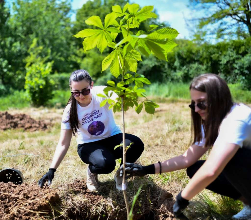 Svjetski dan pčela obilježen u BiH sadnjom medonosnog bilja