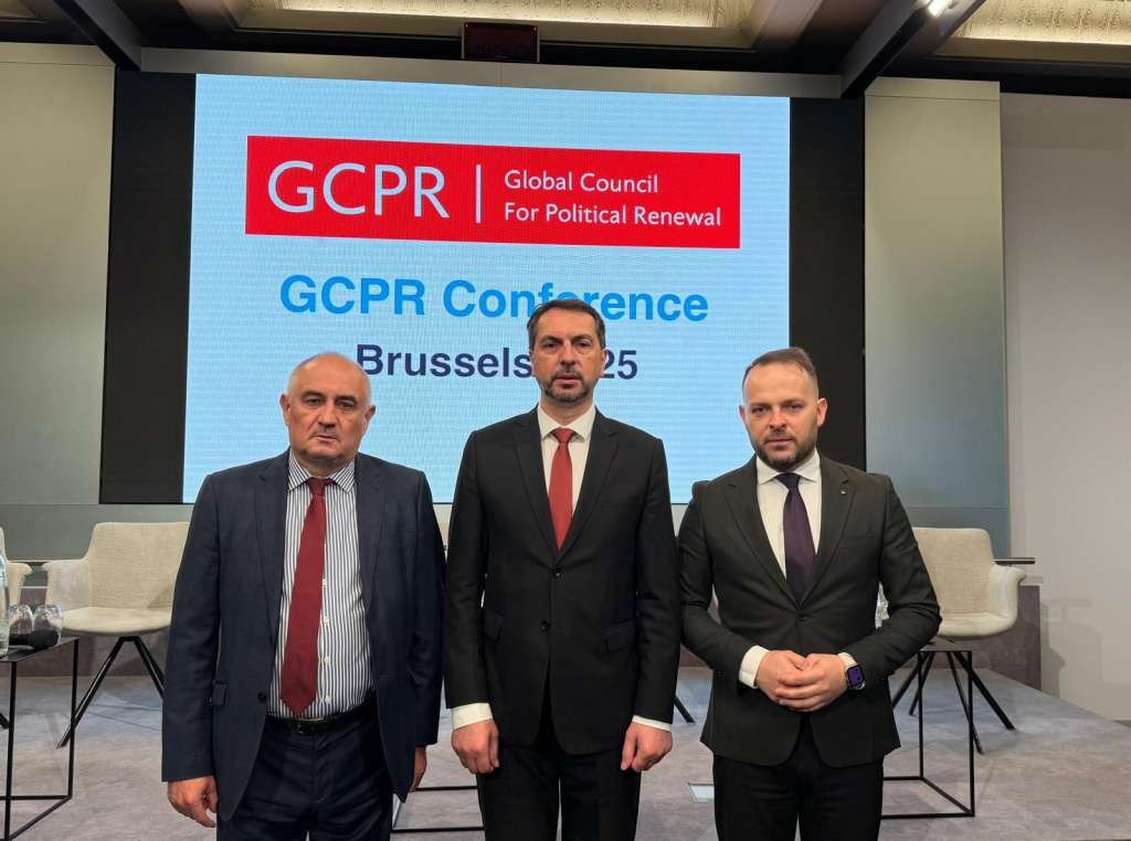 Delegacija PSBiH u Bruxellesu na godišnjem sastanku Globalnog vijeća za političku obnovu