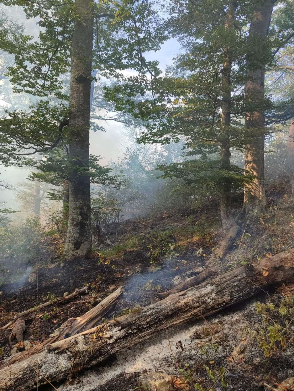 Nastavljeno gašenje požara iznad Srebrenice