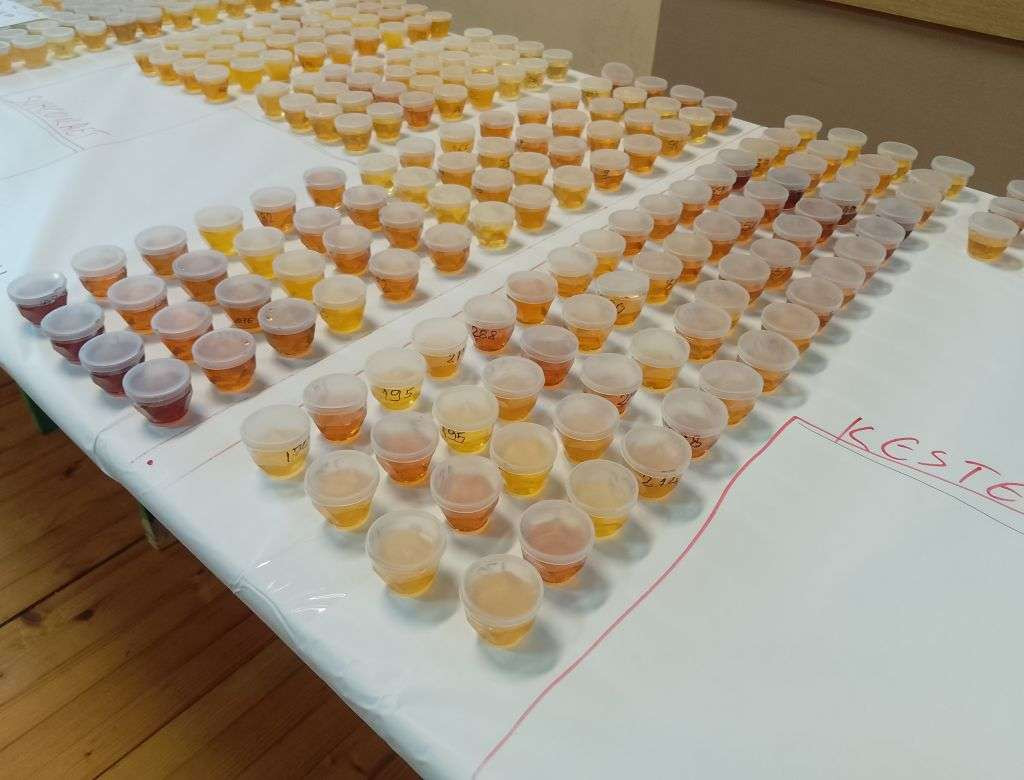 U Brčkom održano deseto međunarodno organoleptičko ocjenjivanje meda