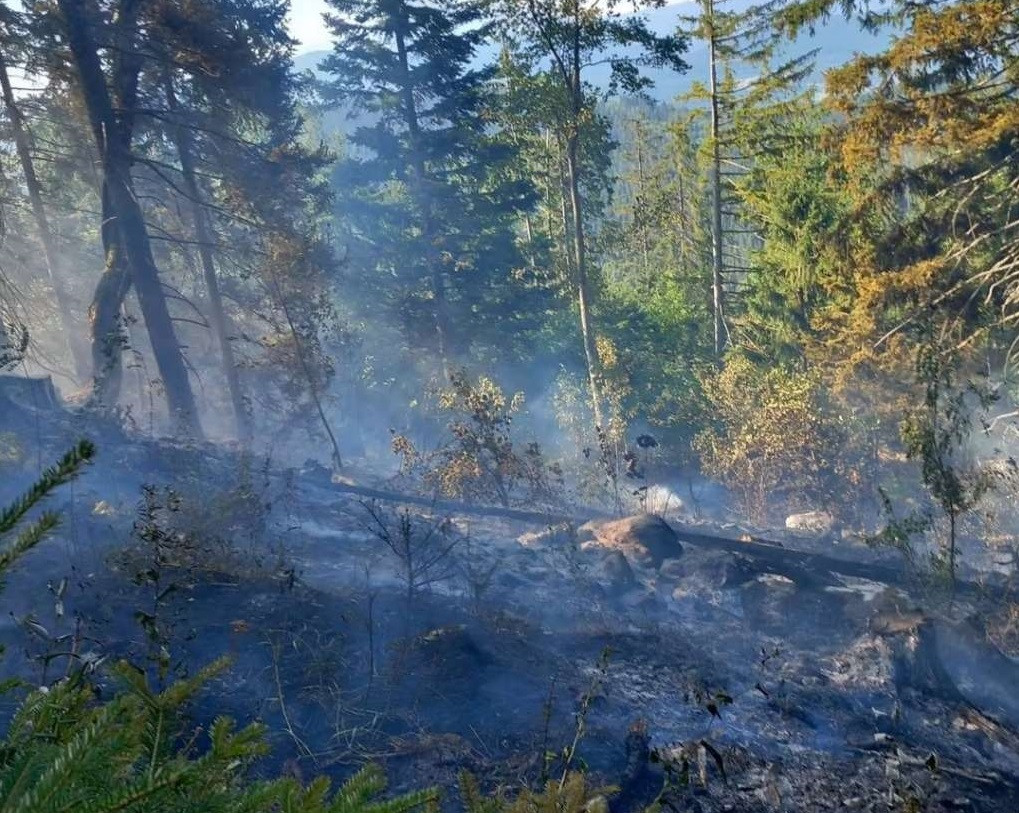 Požar na Grmeču zahvatio velike površine, u gašenje uključeni i građani