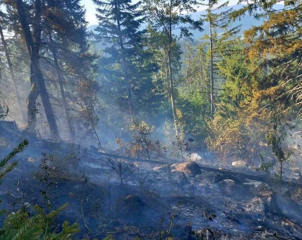 Požari zahvatili više dijelova Srbije: Najavljen novi toplinski val i snažan vjetar