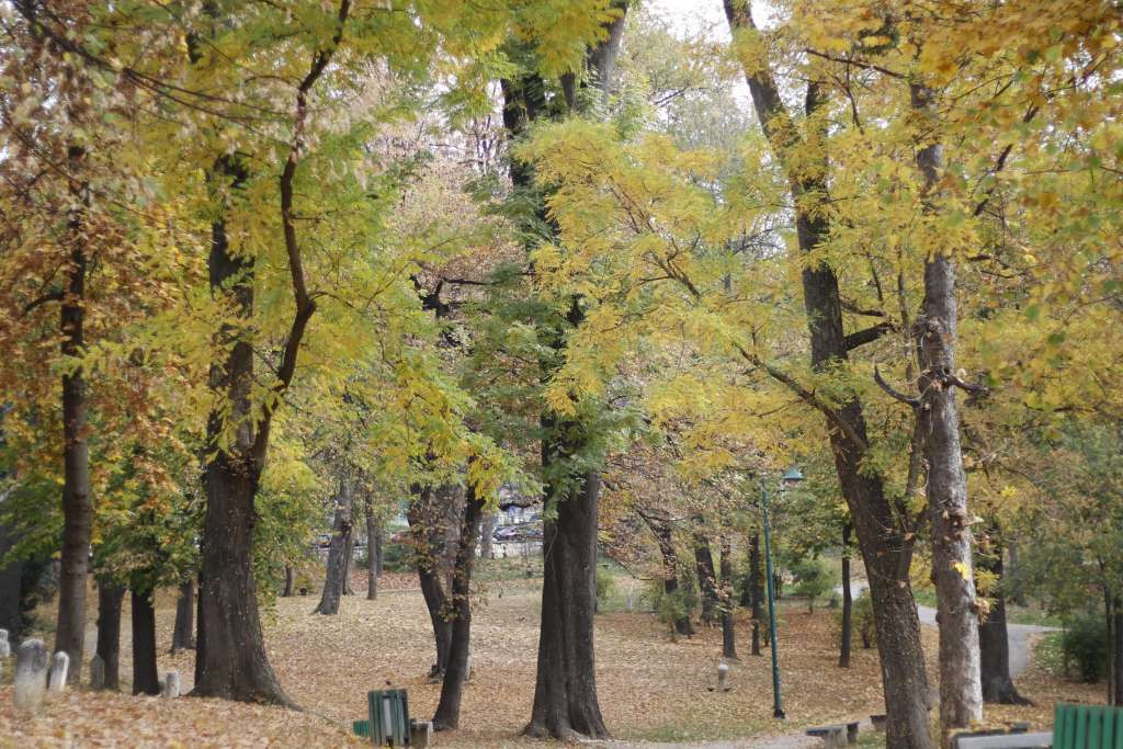 Sutra u BiH pretežno oblačno, u većem dijelu Bosne lokalno slaba kiša