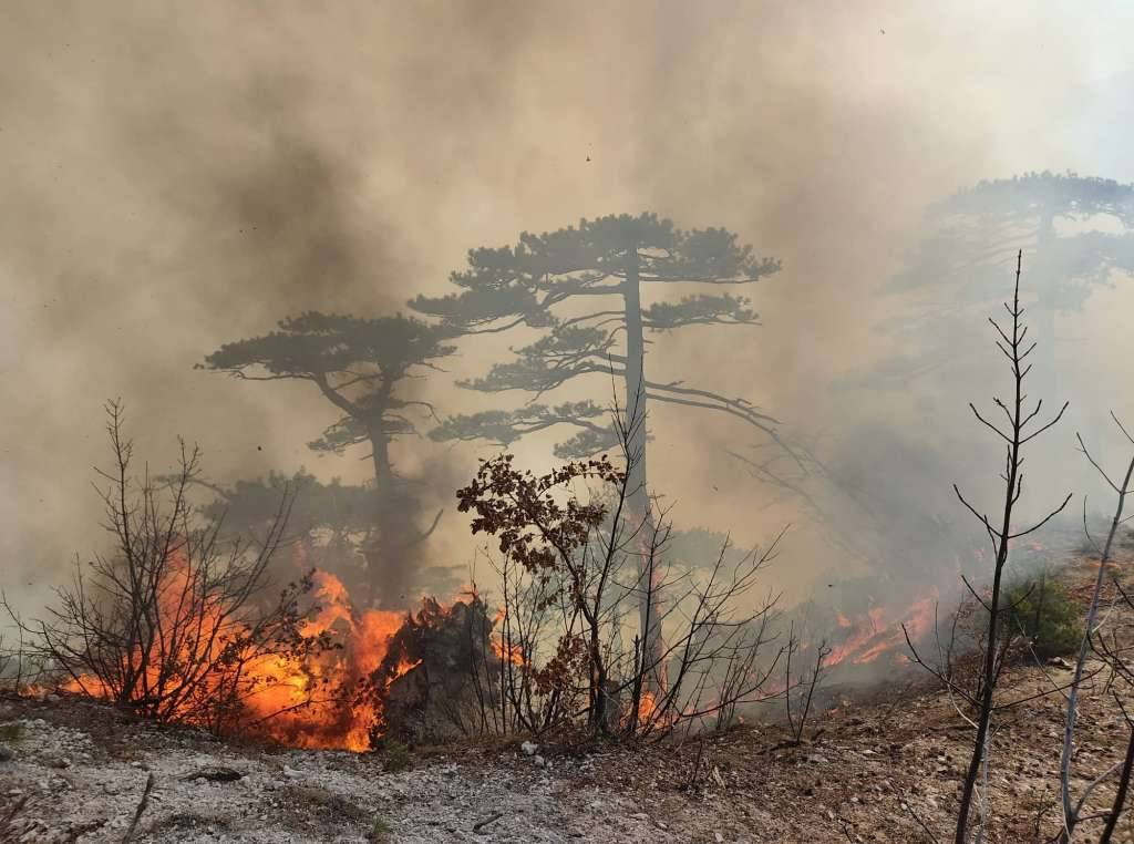 Niz požara u ZHK, na području Gruda vatra prijetila stambenim objektima