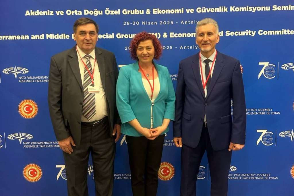 Delegacija PSBiH u PSNATO-a na seminaru Posebne grupe PSNATO-a za Mediteran i Bliski istok
