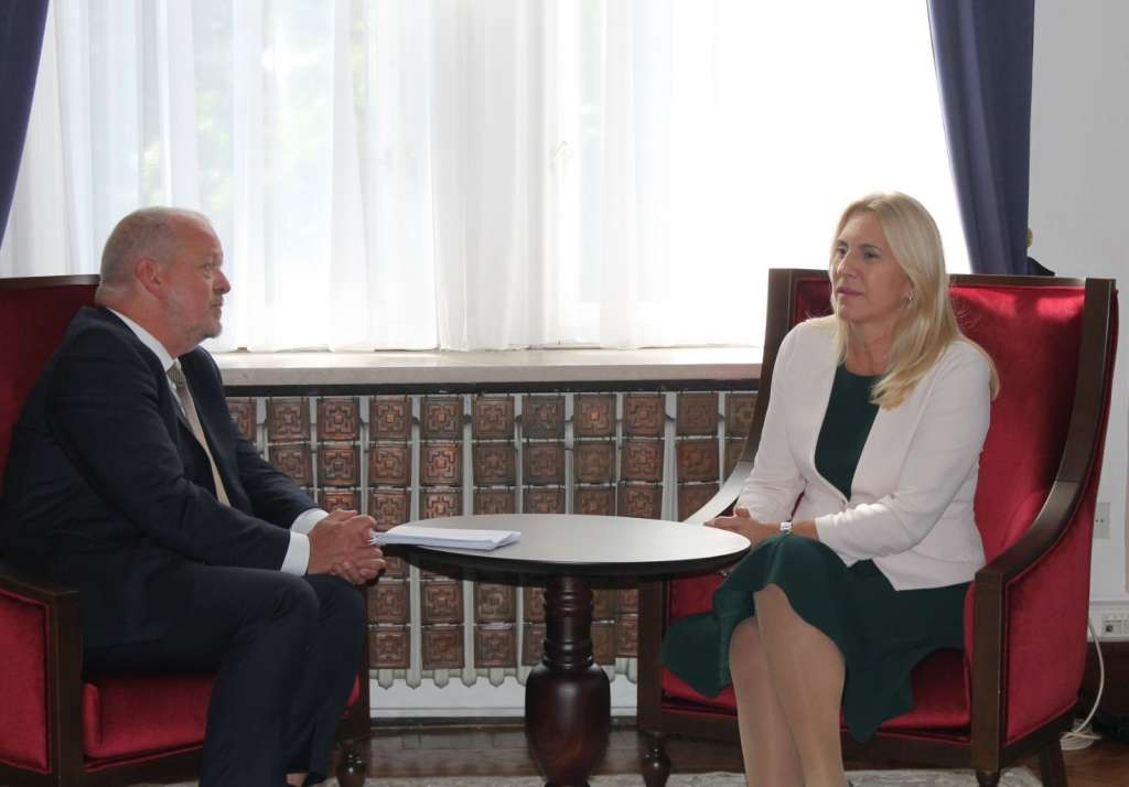 Cvijanović sa van den Doolom: Put u EU vanjskopolitički prioritet Bosne i Hercegovine