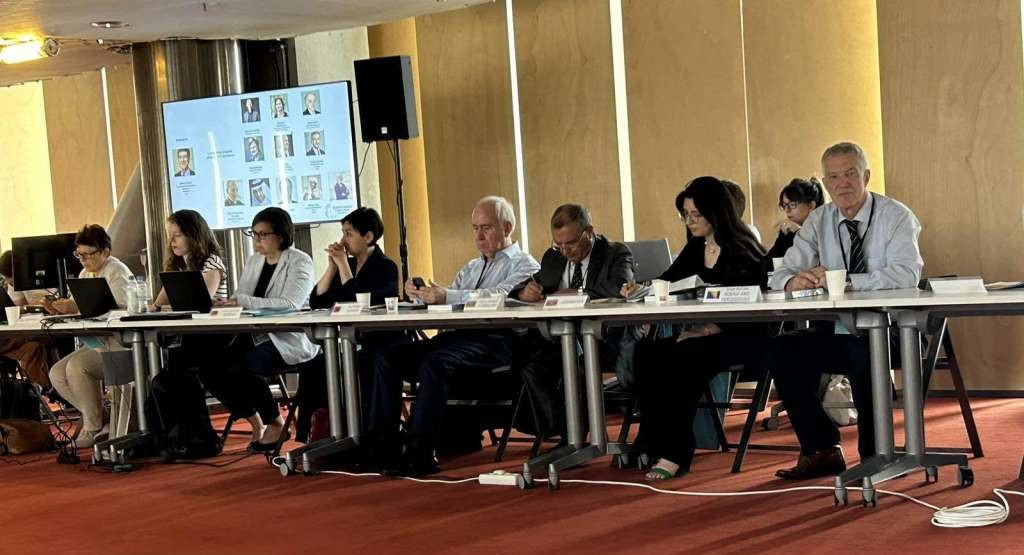 Ovčina na godišnjem sastanku direktora nacionalnih biblioteka Evrope u Parizu