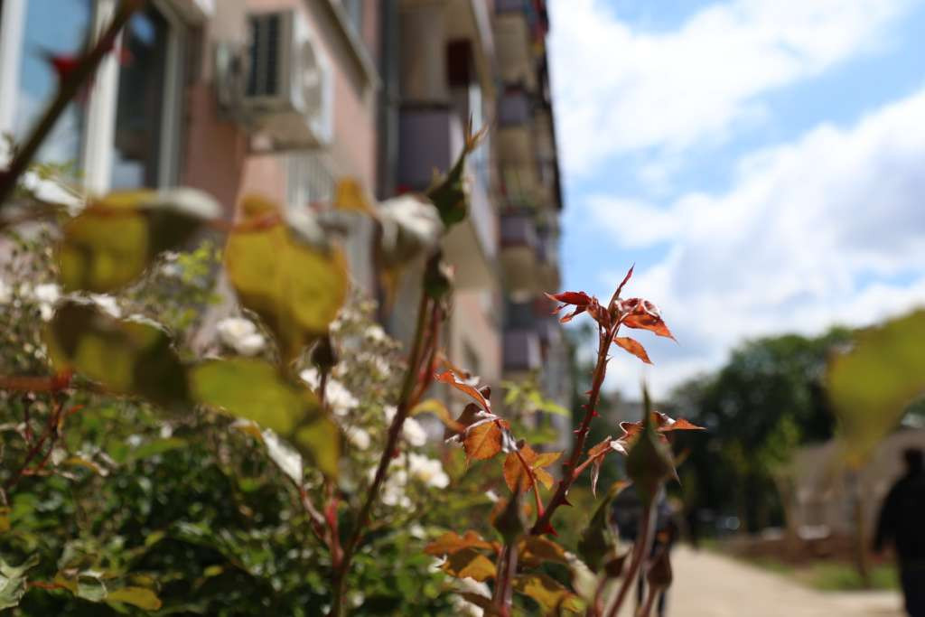U petak i subotu pretežno oblačno vrijeme s kišom, u nedjelju sunčano