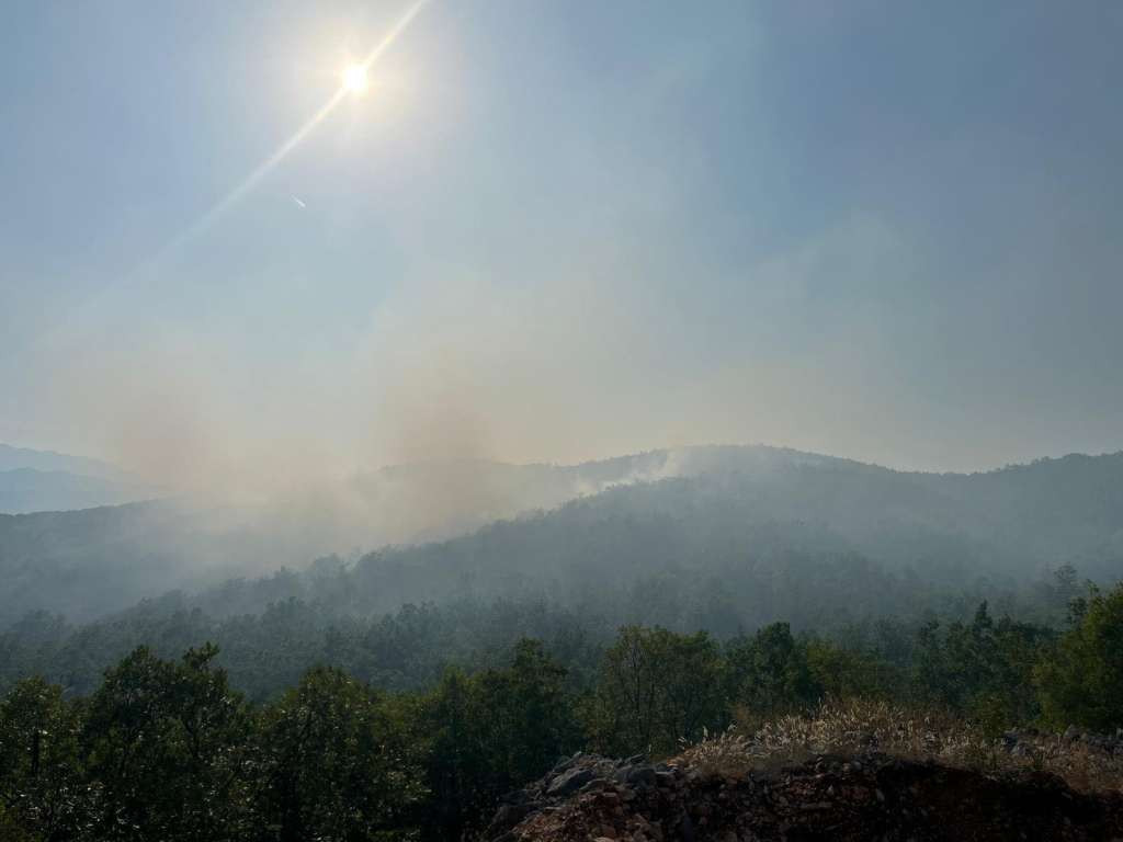 Požar na lokaciji Šušnjari u Grudama još uvijek aktivan, zatražena pomoć iz zraka