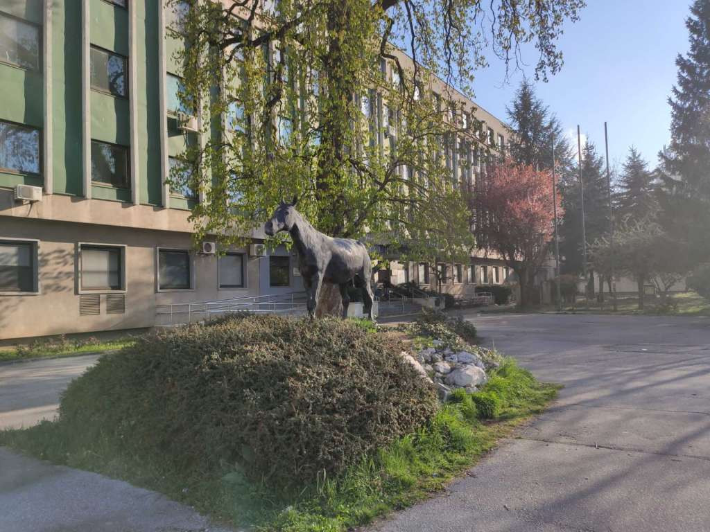 Smajlović: Praksa na farmi u Bojniku obustavljena, radi se biosigurnosni protokol